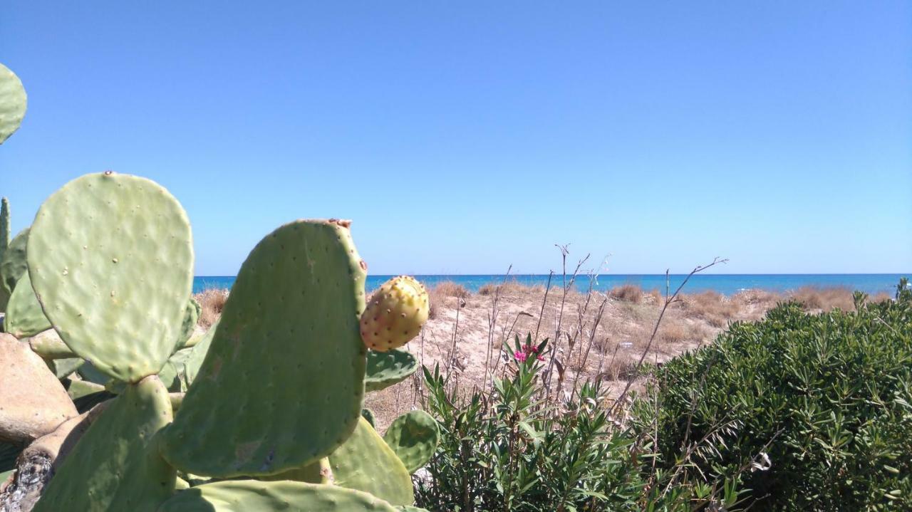 360 Panorama House - Gazing At Horizon And The Stars Of The Galaxy In The Night - Fresh Cool Breeze Most Of The Time - Just 7 Min From The Beach Kournás Exterior foto